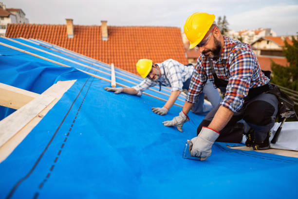 Roofing services in Kaufman County contractor documenting hail damaged roof after storm